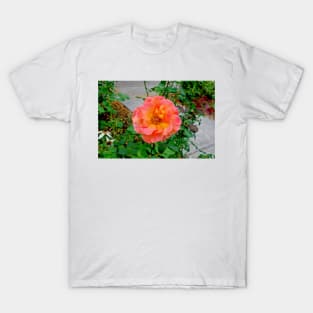 Esther Short Park Study 6 T-Shirt